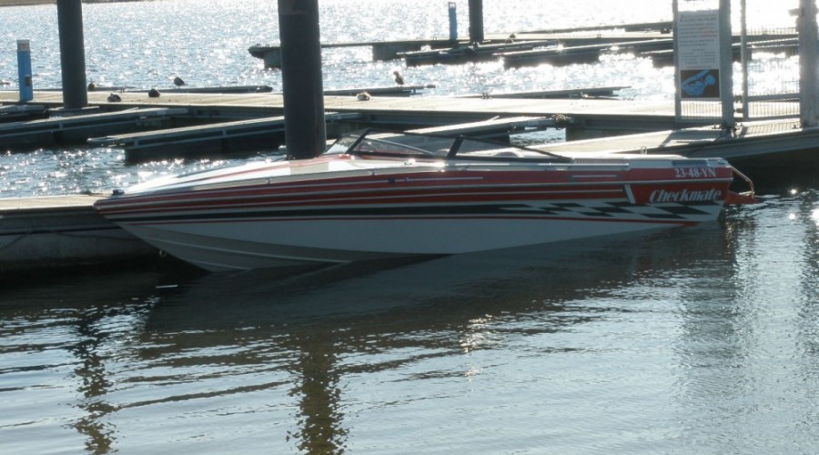 Checkmate Senator Custom edition